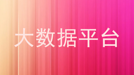 大数据平台