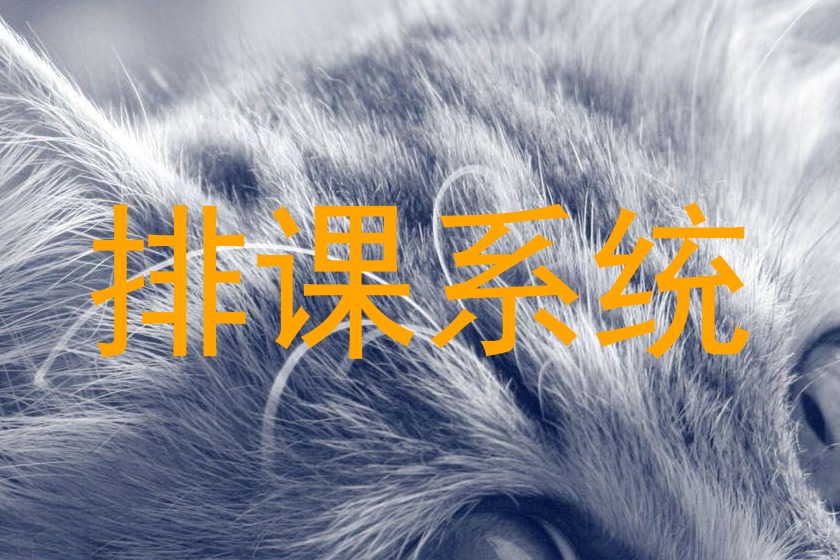 排课系统