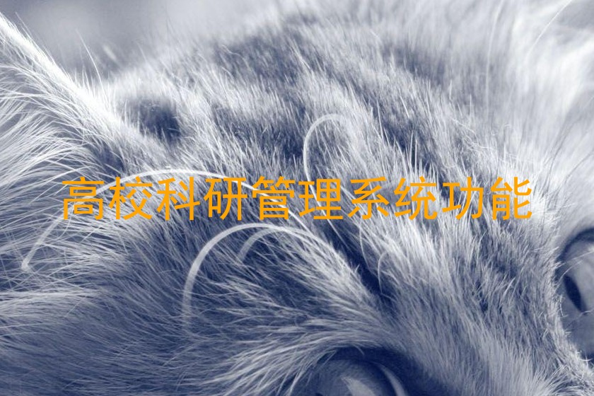 高校科研管理系统功能