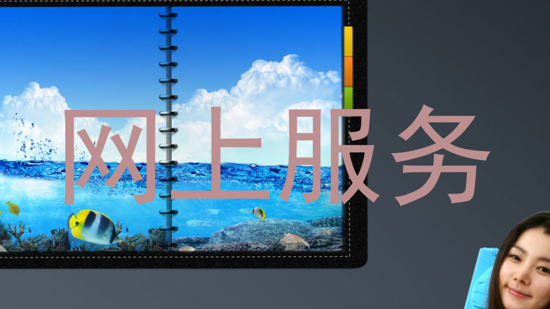 网上服务