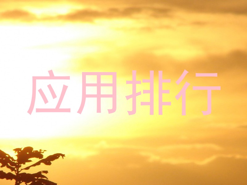应用排行