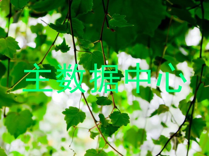 主数据中心