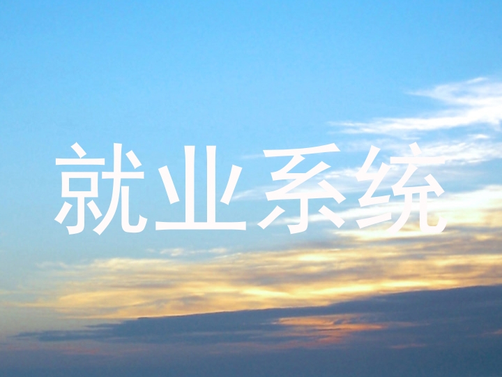 就业系统