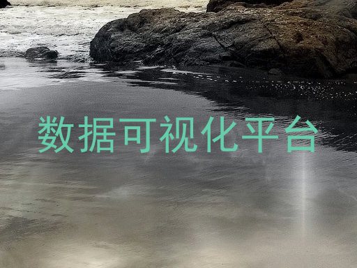 数据可视化平台