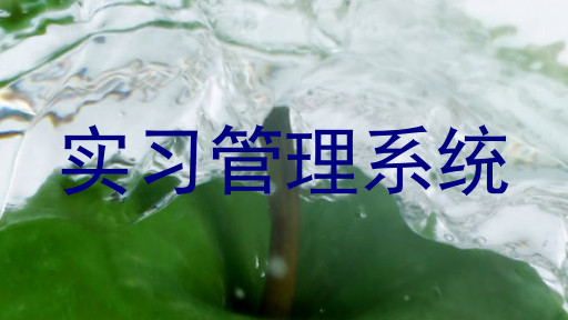 实习管理系统