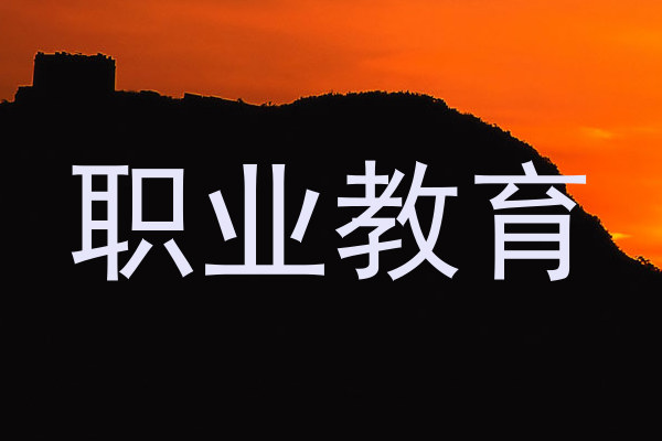 职业教育
