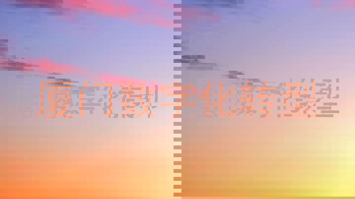 厦门数字化转型