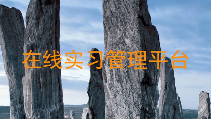 在线实习管理平台