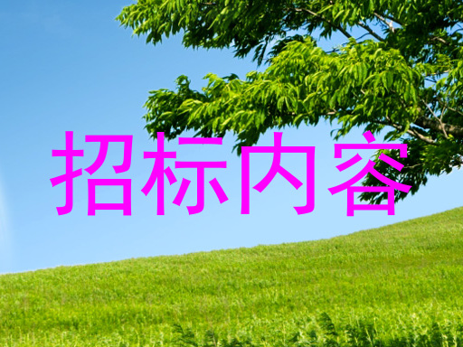 招标内容