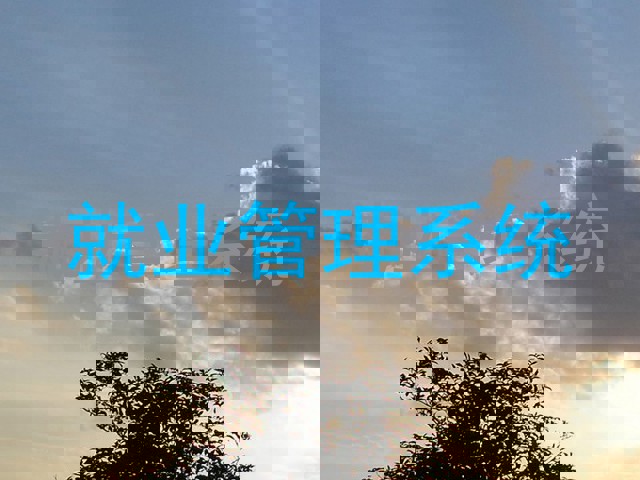 就业管理系统