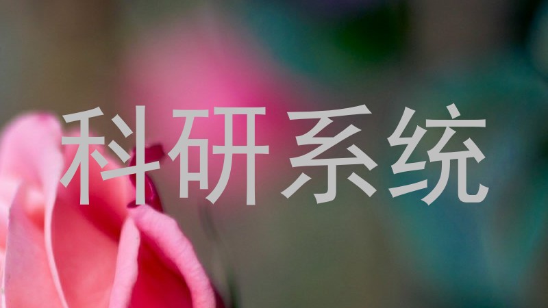 科研系统