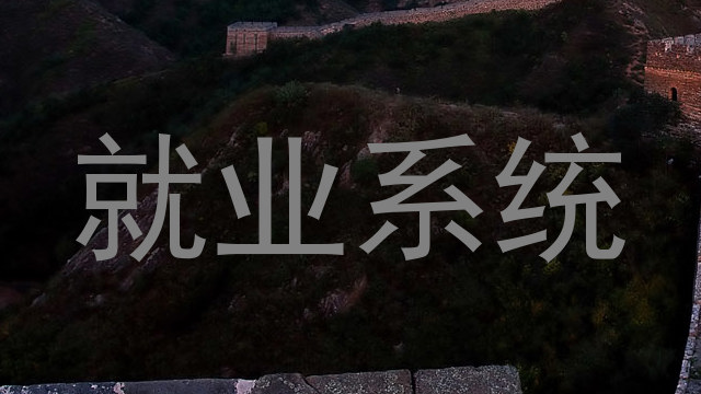 就业系统