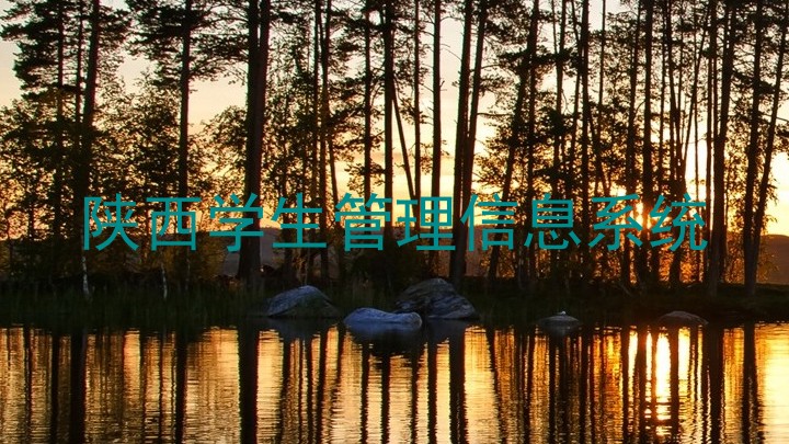 陕西学生管理信息系统