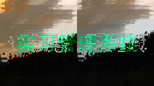 实习管理系统