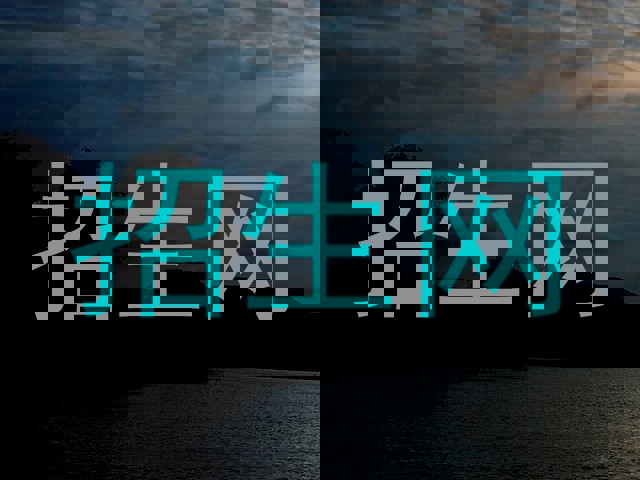 招生网