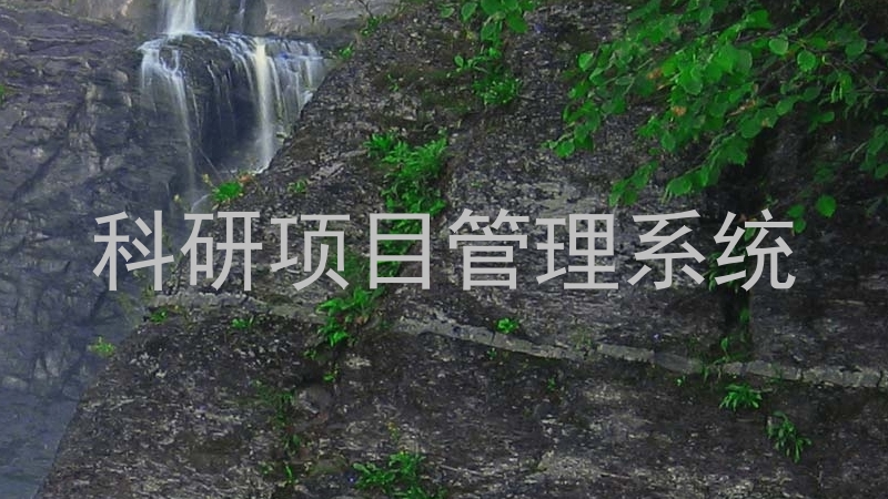 科研项目管理系统