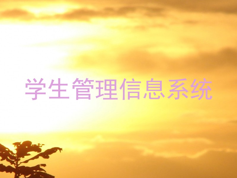 学生管理信息系统