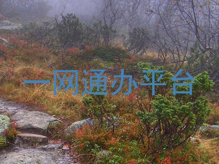 一网通办平台