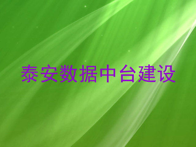 泰安数据中台建设