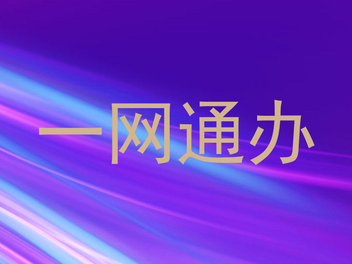 一网通办
