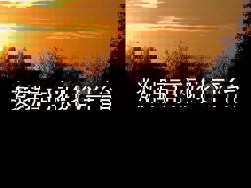 数据可视化平台