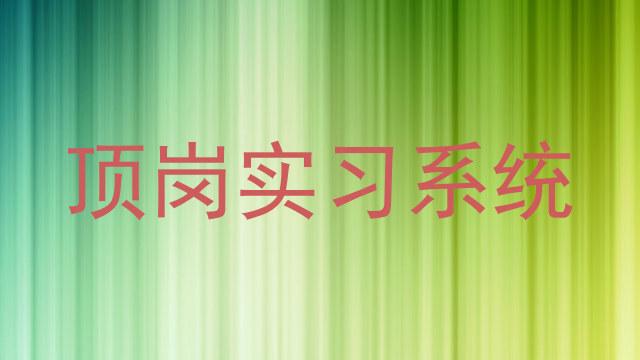 顶岗实习系统