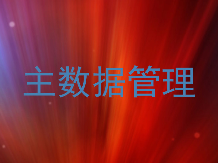 主数据管理