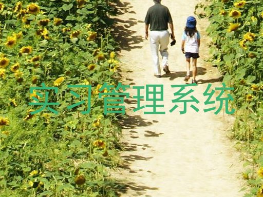 实习管理系统