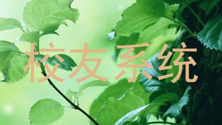 校友系统