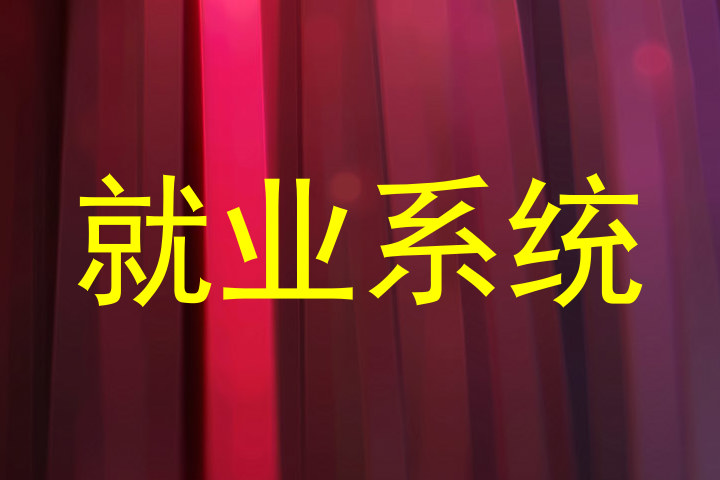 就业系统