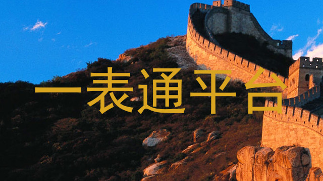 一表通平台