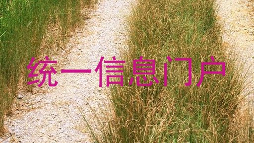 统一信息门户