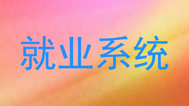 就业系统