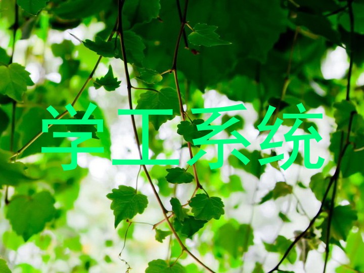学工系统