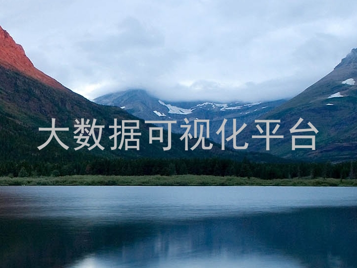 大数据可视化平台