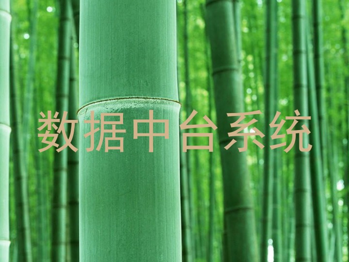 数据中台系统