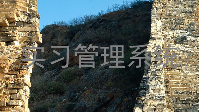实习管理系统