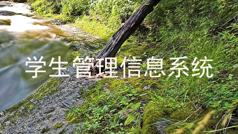 学生管理信息系统
