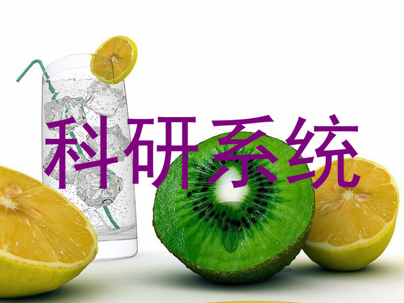 科研系统
