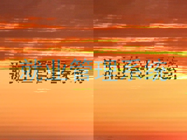 就业管理系统