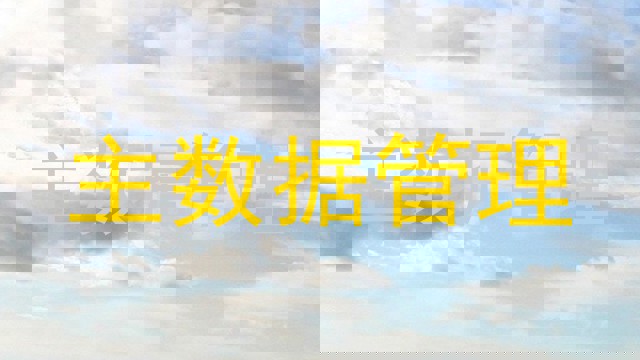 主数据管理