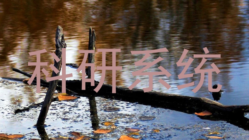 科研系统