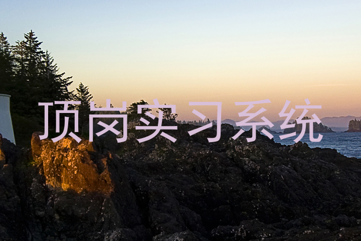 顶岗实习系统