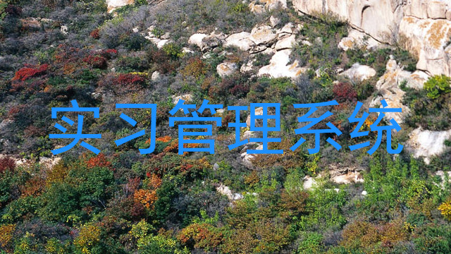 实习管理系统