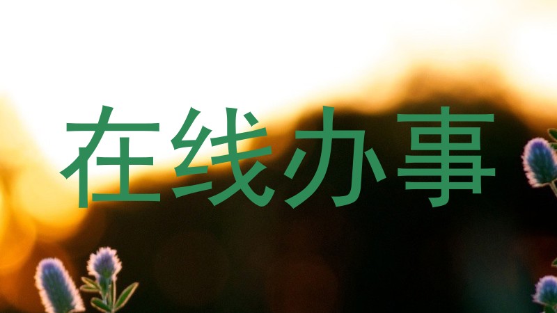 在线办事