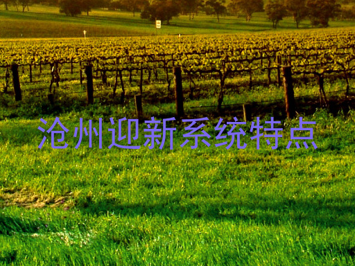 沧州迎新系统特点
