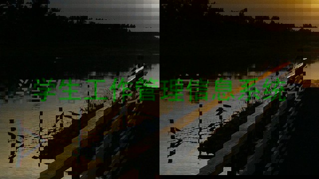 学生工作管理信息系统