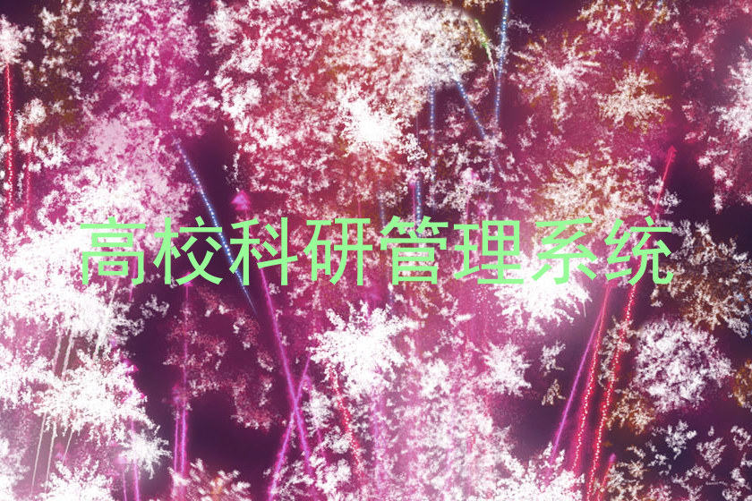 高校科研管理系统
