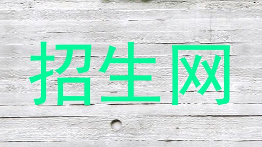 招生网