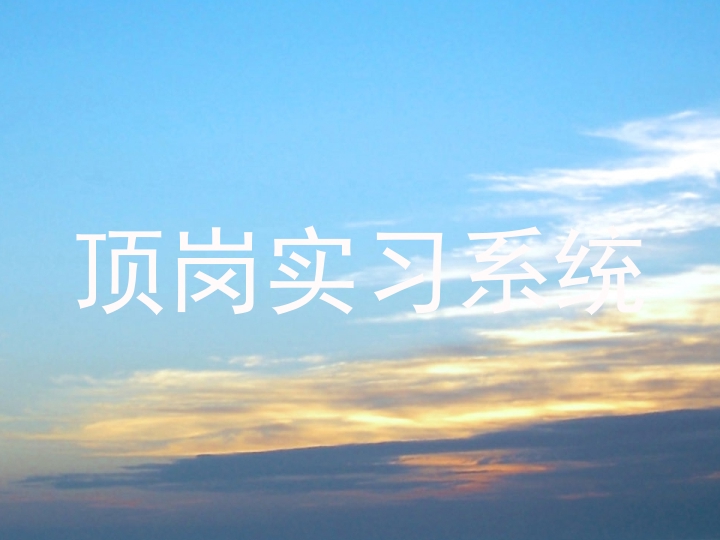 顶岗实习系统
